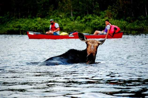 Allagash Wilderness Waterway