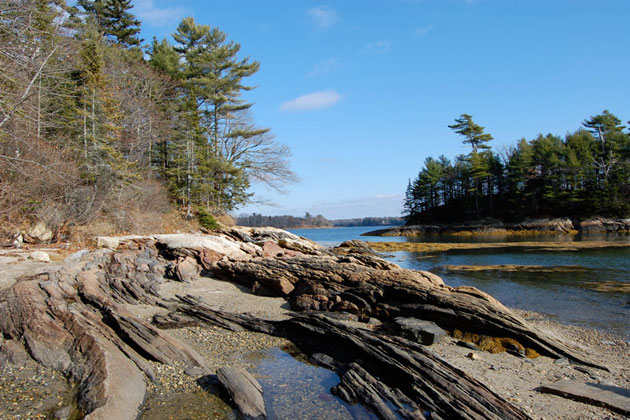 Wolf Neck Woods State Park